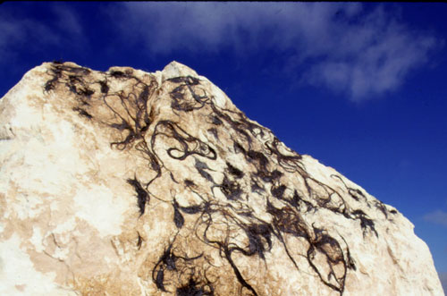 "united nations-israel monument: the holy land " 1995 Wenda Gu